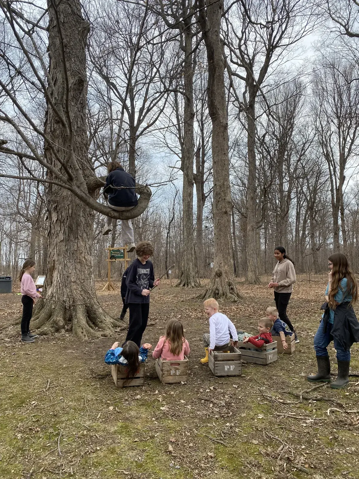 Students working at wooden-crate learning stations along a wooded path