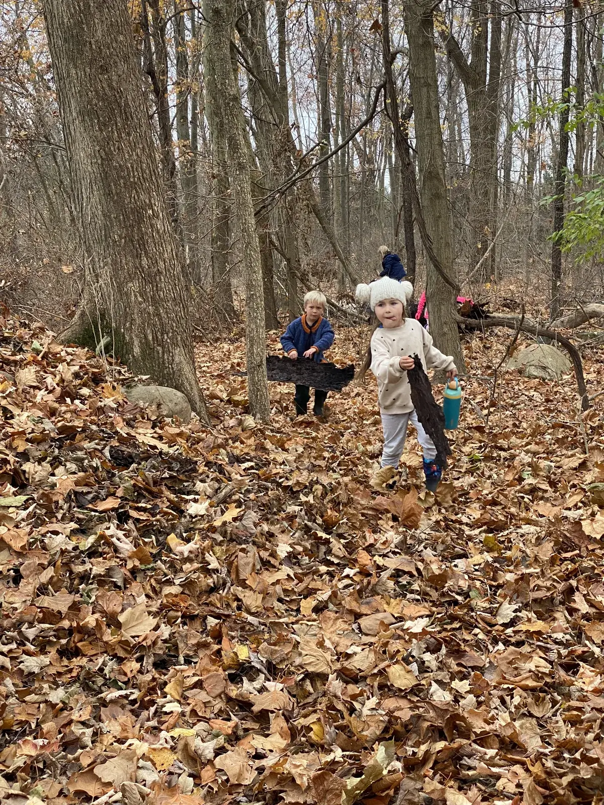 Two young students walking through autumn leaves, carrying bark and a water bottle