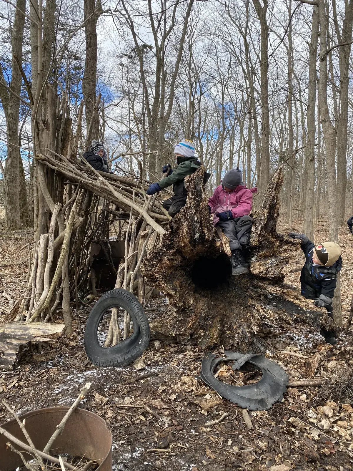 Students at a fort built of tires and branches around a hollow tree stump