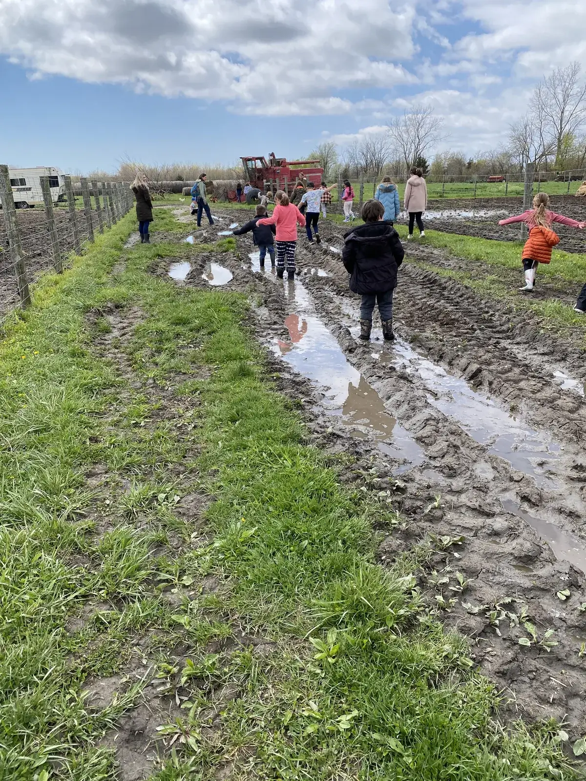 Students and adults playing in a huge spring mud puddle in a farm field
