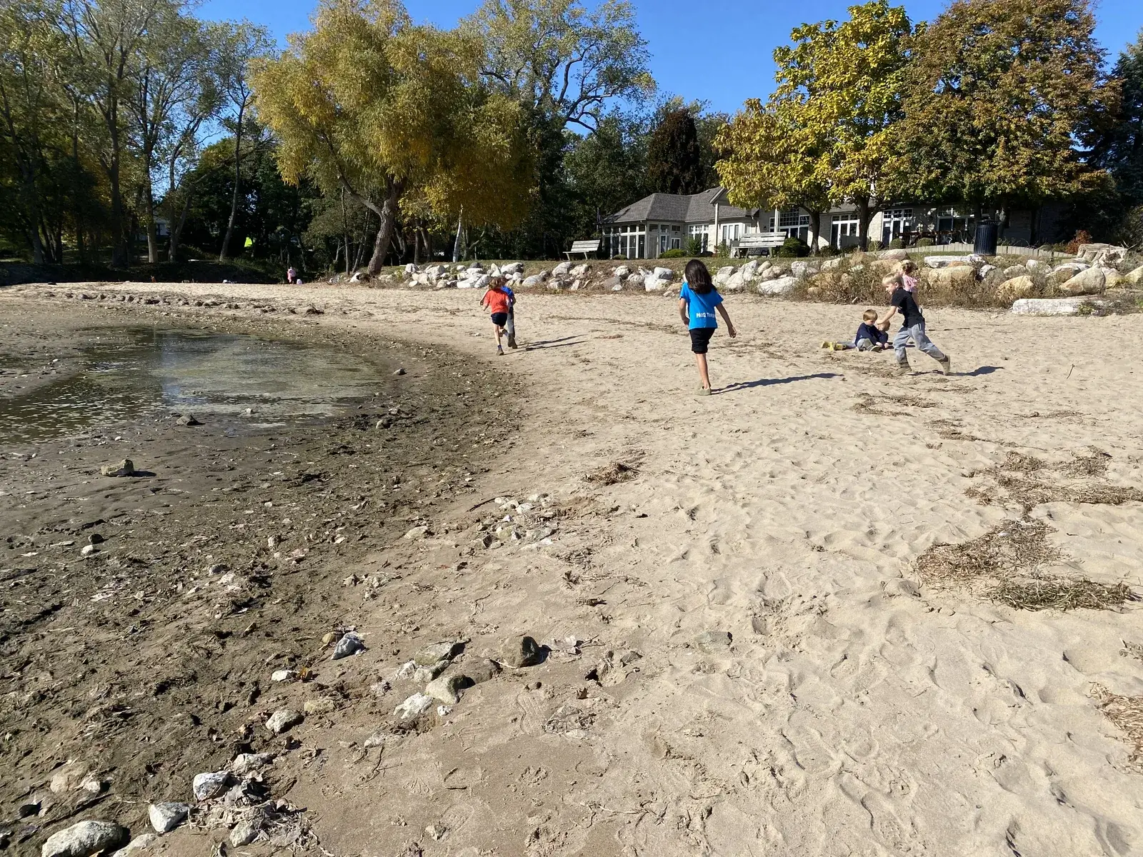 Students running and playing on the beach near the lakeside cottage