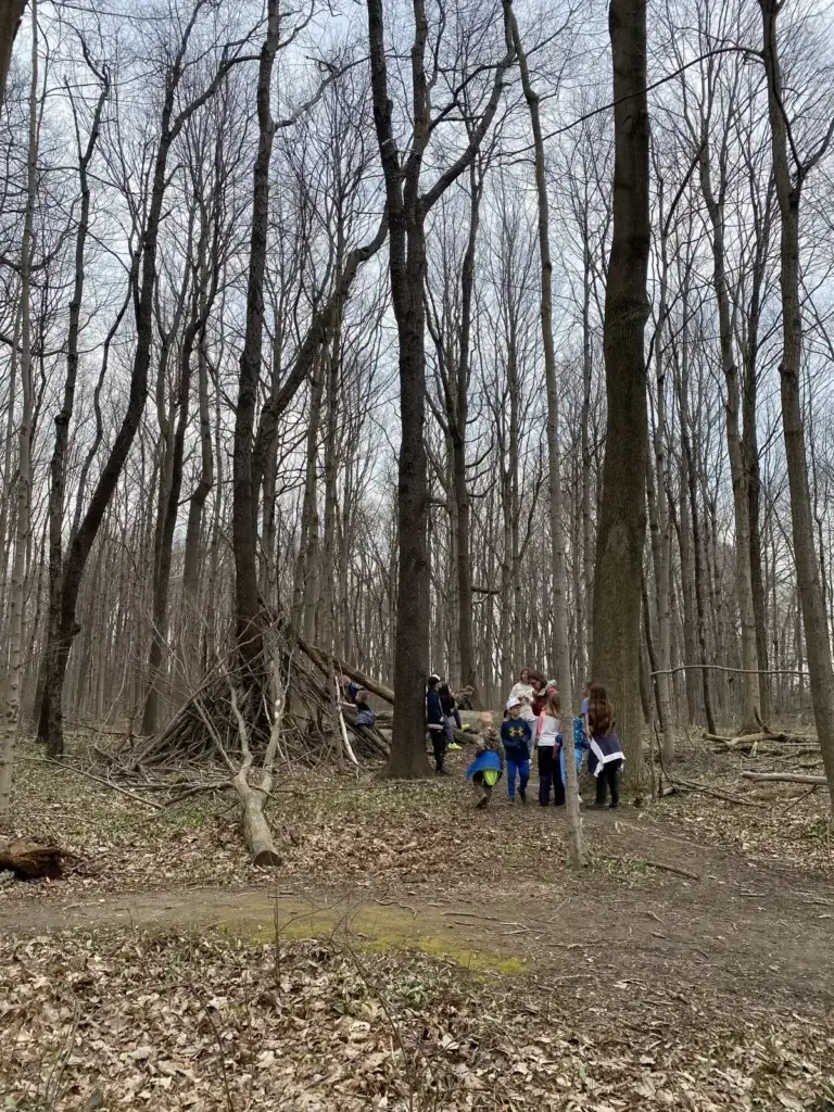 Students walking single file along a wooded trail