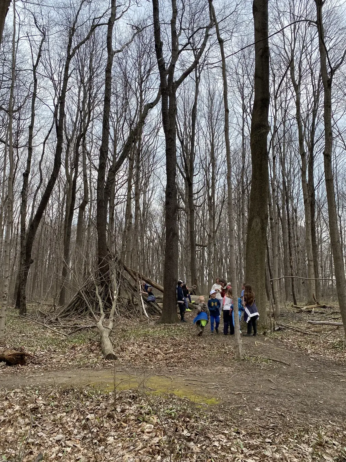 Students walking single file along a wooded trail