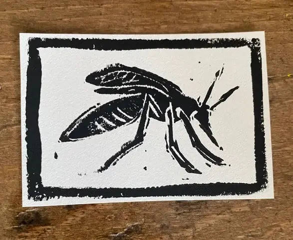 WONDERfield Mosquito Charlotte Mason Gathering Oct 23 and 24 Kingsville.